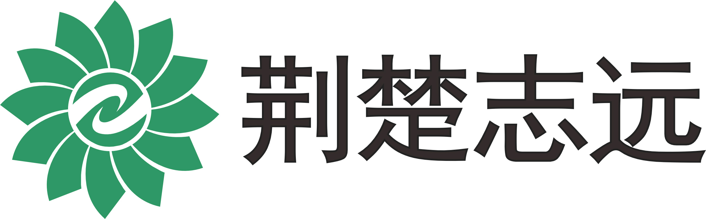 荊門志遠(yuǎn)環(huán)保設(shè)備有限公司